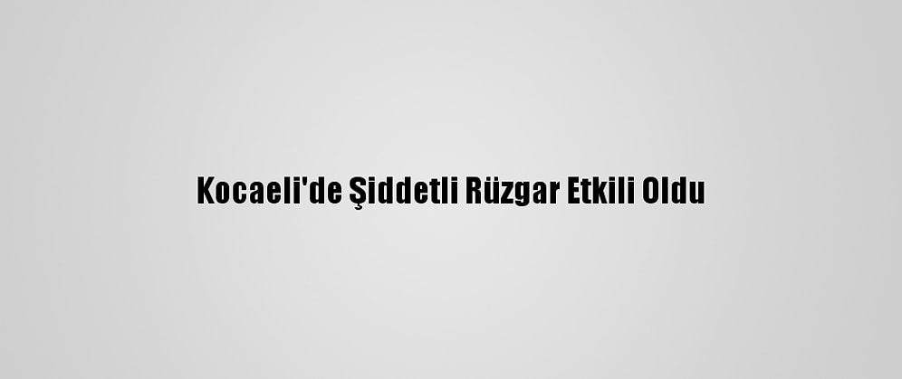 Kocaeli'de Şiddetli Rüzgar Etkili Oldu