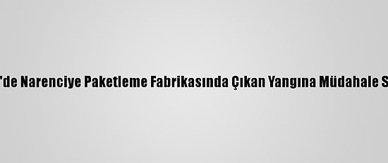 Mersin'de Narenciye Paketleme Fabrikasında Çıkan Yangına Müdahale Sürüyor