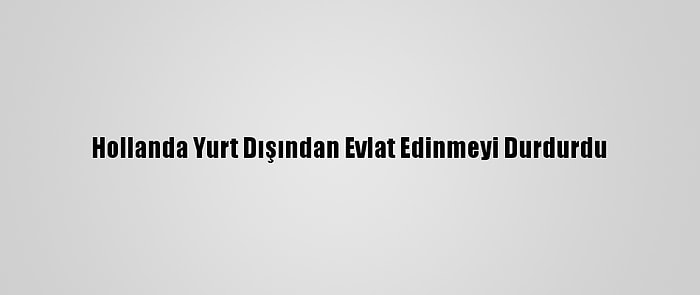 Hollanda Yurt Dışından Evlat Edinmeyi Durdurdu