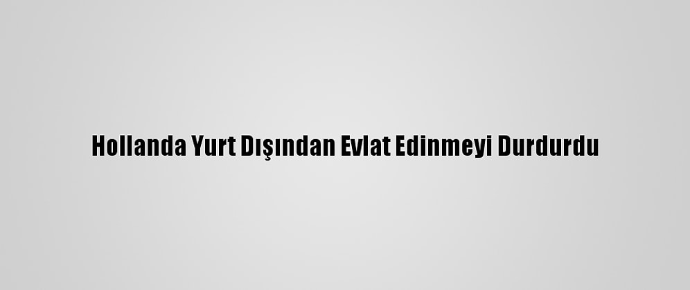 Hollanda Yurt Dışından Evlat Edinmeyi Durdurdu