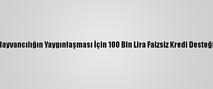 Edirne'de Hayvancılığın Yaygınlaşması İçin 100 Bin Lira Faizsiz Kredi Desteği Verilecek