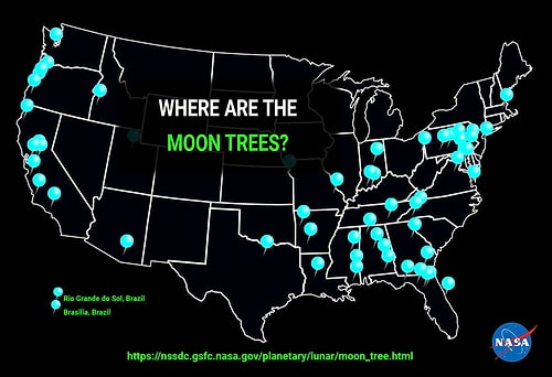 Üçte Biri Ölmüş: NASA, 50 Yılın Ardından Ay Ağaçlarının Haritasını Yayınladı