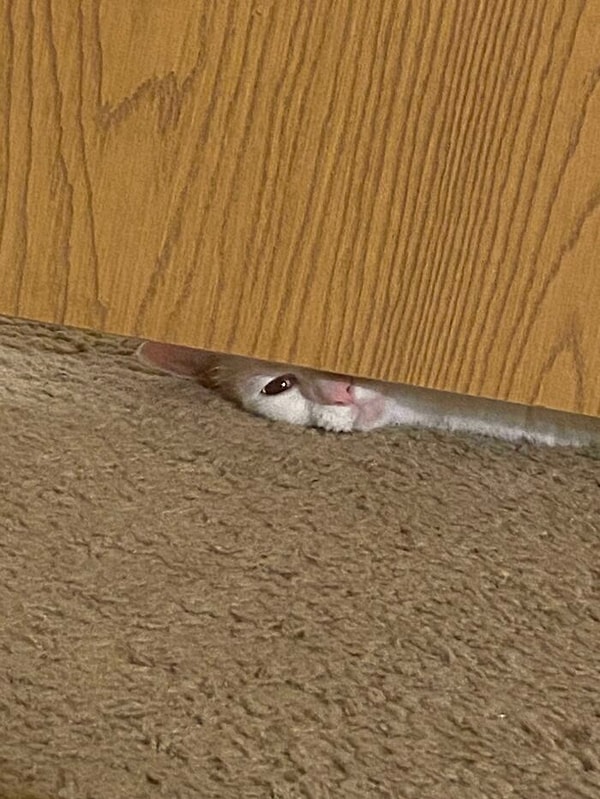 11. Я делала домашнее задание, а потом увидела это :с