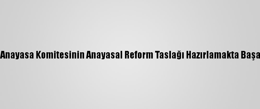 AB Üyesi 5 Ülke, Suriye Anayasa Komitesinin Anayasal Reform Taslağı Hazırlamakta Başarısız Olduğunu Bildirdi