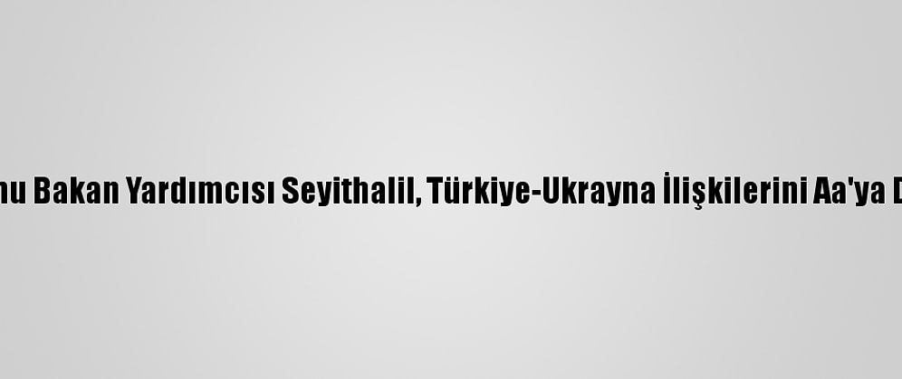 Türkiye Mezunu Bakan Yardımcısı Seyithalil, Türkiye-Ukrayna İlişkilerini Aa'ya Değerlendirdi: