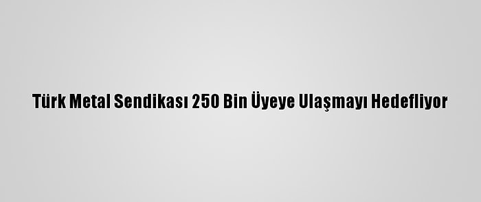 Türk Metal Sendikası 250 Bin Üyeye Ulaşmayı Hedefliyor