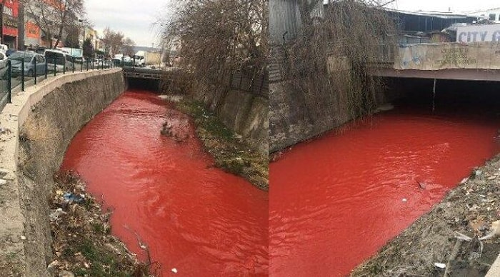 Başkentte Tedirgin Eden Görüntü: Ankara Çayı Kırmızı Akmaya Başladı