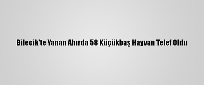 Bilecik'te Yanan Ahırda 58 Küçükbaş Hayvan Telef Oldu