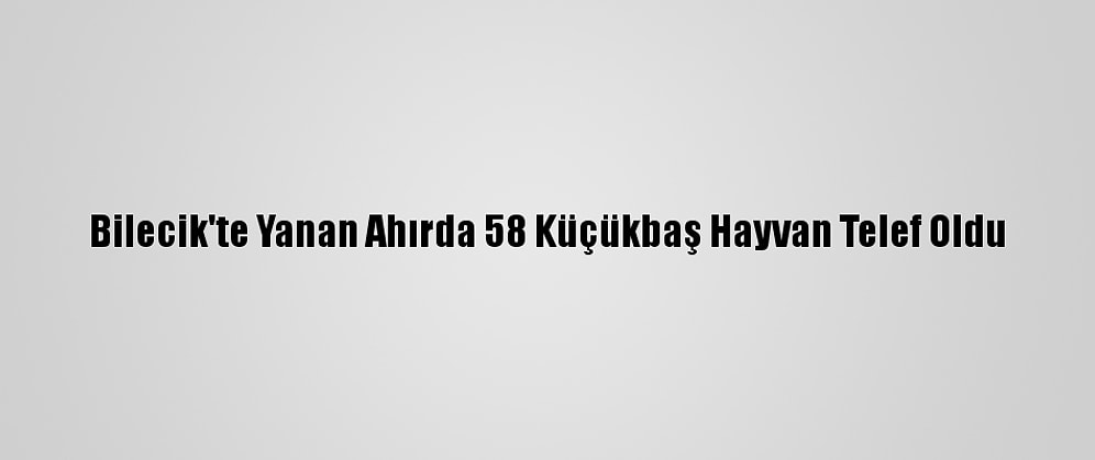 Bilecik'te Yanan Ahırda 58 Küçükbaş Hayvan Telef Oldu