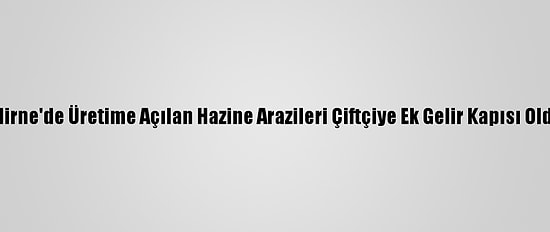 Edirne'de Üretime Açılan Hazine Arazileri Çiftçiye Ek Gelir Kapısı Oldu