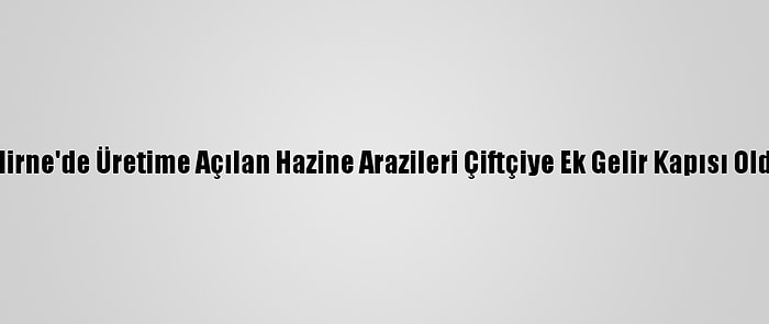 Edirne'de Üretime Açılan Hazine Arazileri Çiftçiye Ek Gelir Kapısı Oldu