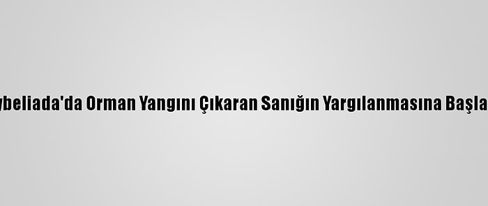 Heybeliada'da Orman Yangını Çıkaran Sanığın Yargılanmasına Başlandı