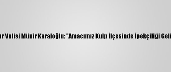 Diyarbakır Valisi Münir Karaloğlu: "Amacımız Kulp İlçesinde İpekçiliği Geliştirmek"