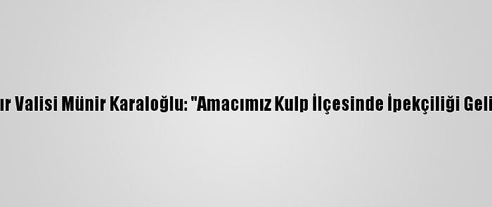 Diyarbakır Valisi Münir Karaloğlu: "Amacımız Kulp İlçesinde İpekçiliği Geliştirmek"