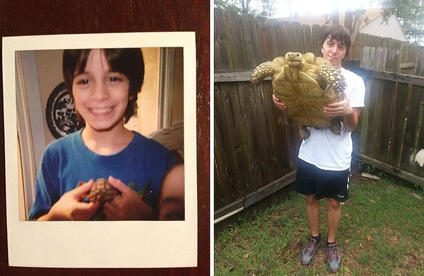 5. Мы выросли вместе. Хотя я остановился в росте, он продолжает. С 1996 по 2013 год