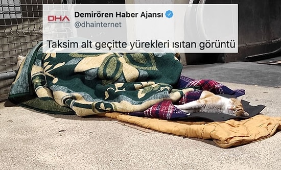 DHA'nın Paylaşımı Tepkilerin Odağında! 'Yürek Isıtan Görüntü' Sokakta Uyumak mı?