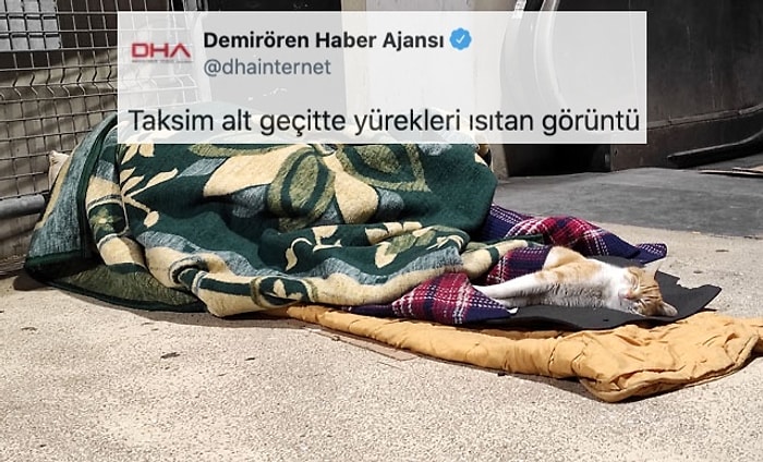 DHA'nın Paylaşımı Tepkilerin Odağında! 'Yürek Isıtan Görüntü' Sokakta Uyumak mı?