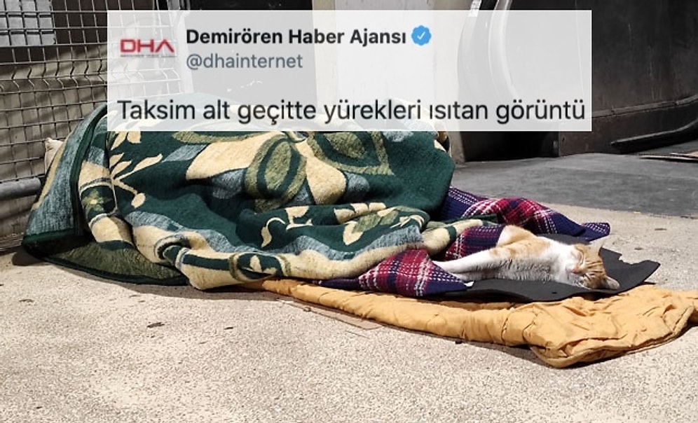 DHA'nın Paylaşımı Tepkilerin Odağında! 'Yürek Isıtan Görüntü' Sokakta Uyumak mı?