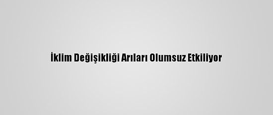 İklim Değişikliği Arıları Olumsuz Etkiliyor