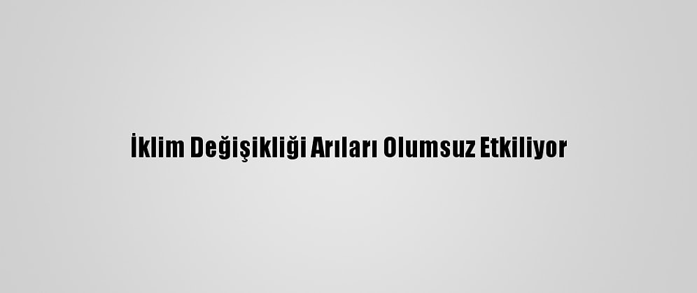 İklim Değişikliği Arıları Olumsuz Etkiliyor