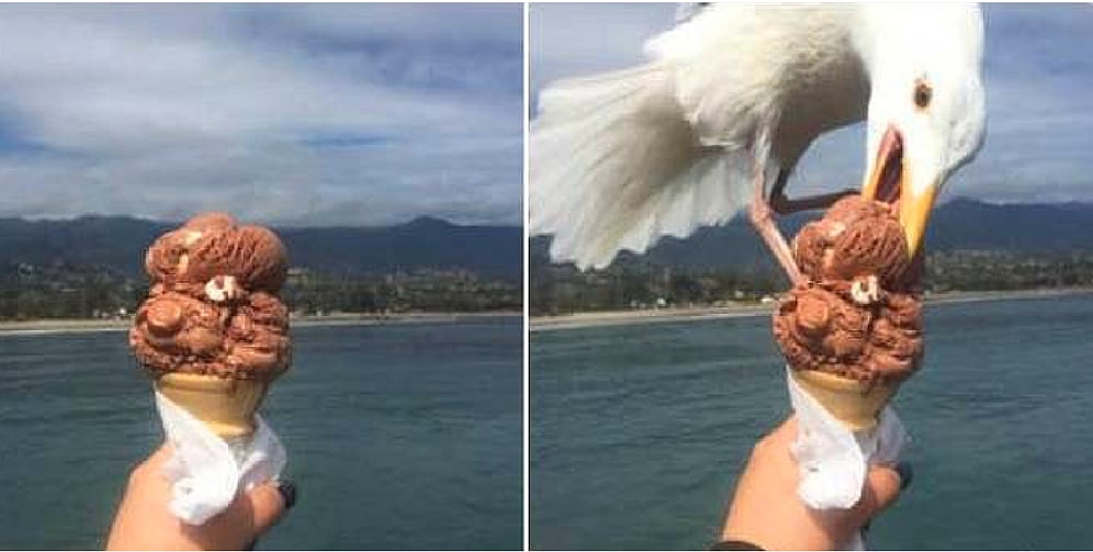 10 раз, когда люди горько пожалели о своих поступках