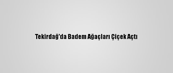 Tekirdağ'da Badem Ağaçları Çiçek Açtı