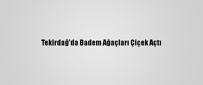 Tekirdağ'da Badem Ağaçları Çiçek Açtı