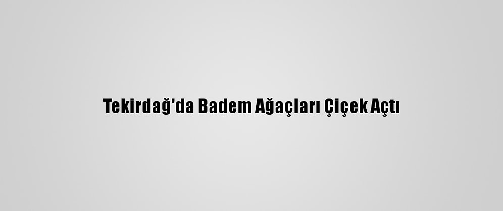 Tekirdağ'da Badem Ağaçları Çiçek Açtı