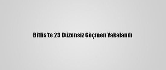 Bitlis'te 23 Düzensiz Göçmen Yakalandı