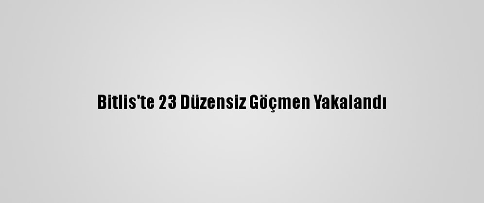 Bitlis'te 23 Düzensiz Göçmen Yakalandı