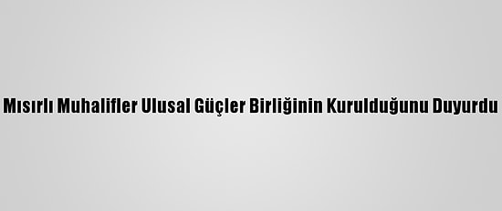 Mısırlı Muhalifler Ulusal Güçler Birliğinin Kurulduğunu Duyurdu