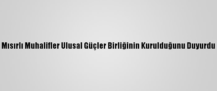 Mısırlı Muhalifler Ulusal Güçler Birliğinin Kurulduğunu Duyurdu