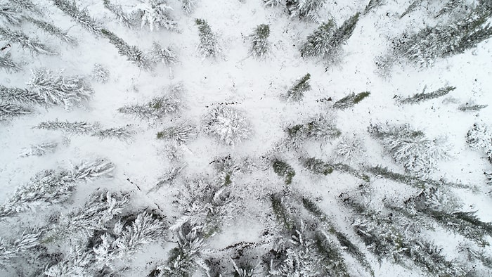 Meteoroloji Açıkladı: Marmara'da Kar Kalınlığı 30 Santimetreyi Bulacak