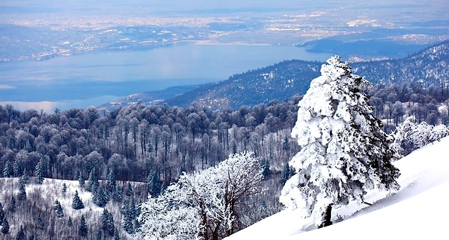 Maşukiye ❄️