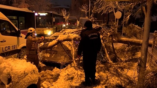 İstanbul'da Korkutan Olay! Kaldırımda Yürüyen Kadının Üzerine Ağaç Devrildi