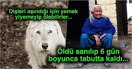 Acayip Bilgiler Kuşağı: Bomboş Geçen Karantina Günlerinize Soğuk Duş Etkisi Yaratacak 15 İlginç Gerçek