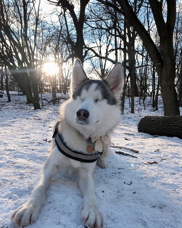 6. Эх, если бы круглый год была зима!