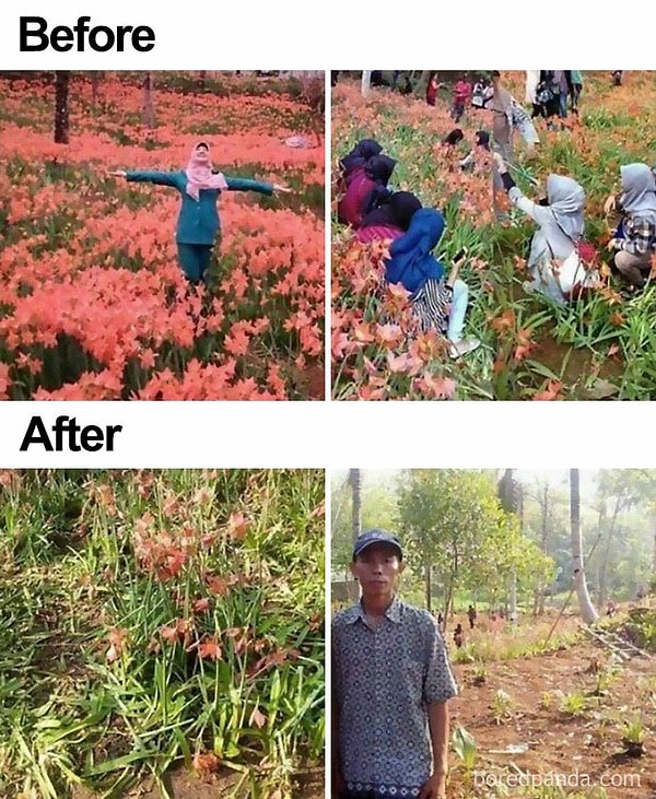 2. Это красивое цветочное поле затоптали туристы