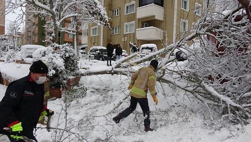 İstanbul'da Kar Yağışının Bilançosu: Fırtınada 517 Ağaç ve Direk Devrildi