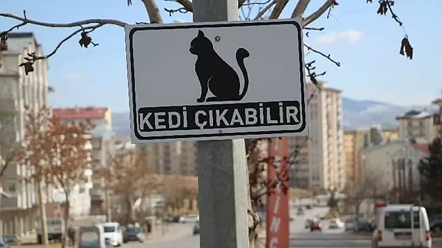 'Amacımız hayvan yaralanmalarının önüne geçmek.'