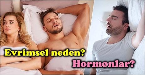 'Erkekler Neden Cinsel İlişkiden Sonra Uyuyakalırlar?' Sorusunu Madde Madde Açıklıyoruz!