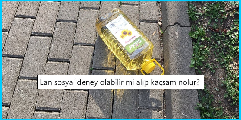 s-e5e539878805b4891abce43f6b1c0737c67908de.jpg
