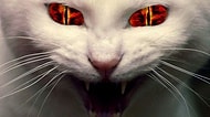 Davranışların Kötü Olduğunu Söylemiyoruz, Ama Bunlardan 22/32'sini Yaptıysan Kötüsün!
