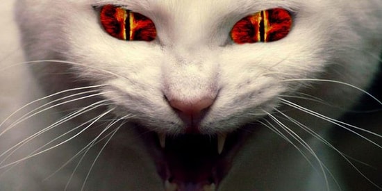 Davranışların Kötü Olduğunu Söylemiyoruz, Ama Bunlardan 22/32'sini Yaptıysan Kötüsün!