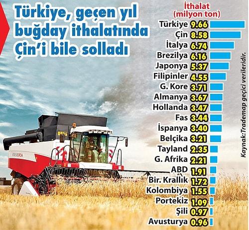 Türkiye, Buğday İthalatında Çin'i Bile Geride Bırakarak Dünya Rekoru Kırdı