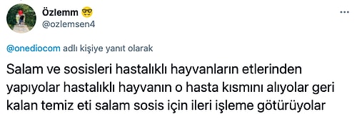 Yaptıkları İşle İlgili Meslek Sırlarını İfşa Ederken 'Nasıl Ayakta Uyutulmuşuz' Aydınlanması Yaşatan 17 Kişi