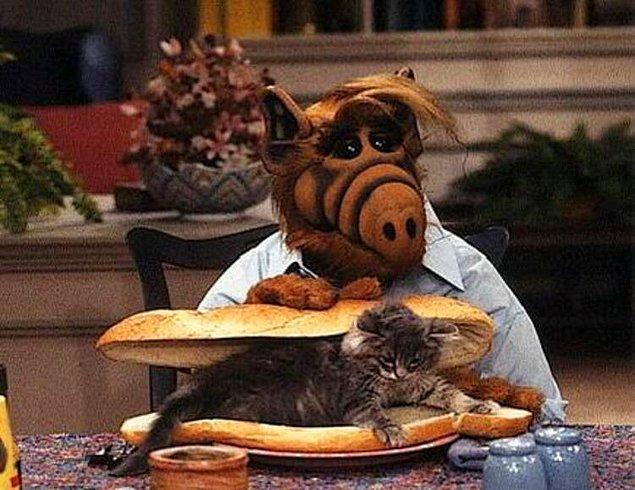13. Alf (1986-1990) IMDB: 7.4