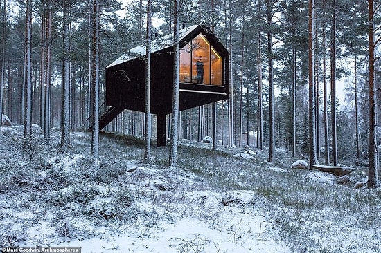 Финские архитекторы спроектировали "одноногий дом" в лесу, вдохновившись традиционными хижинами для хранения продуктов в безопасном месте от медведей