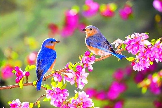 2. Cemre Suya Düştü Mü? 3. Cemre Ne Zaman ve Nereye Düşecek?