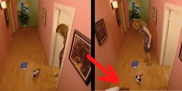 3. Bez Bebek'te bir set çalışanı kediyi odaya sokmak için biraz kadraja girmiş. 😂